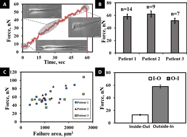 FIGURE 4: