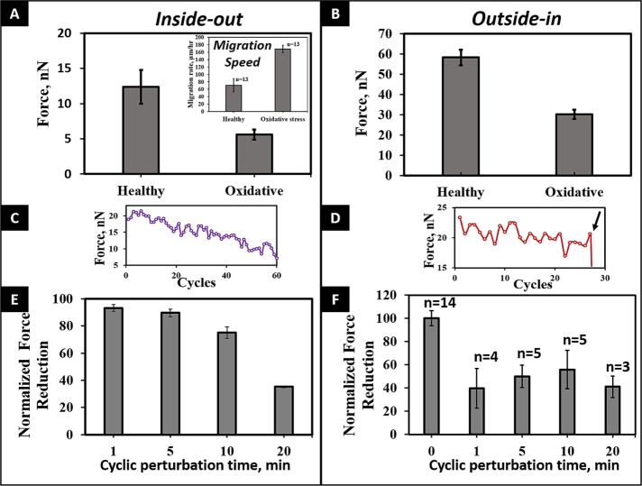 FIGURE 5: