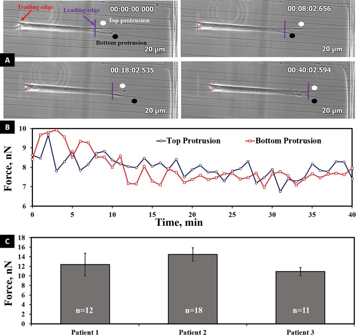 FIGURE 3: