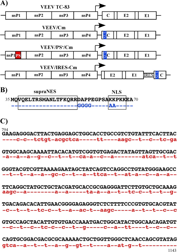 FIG 1