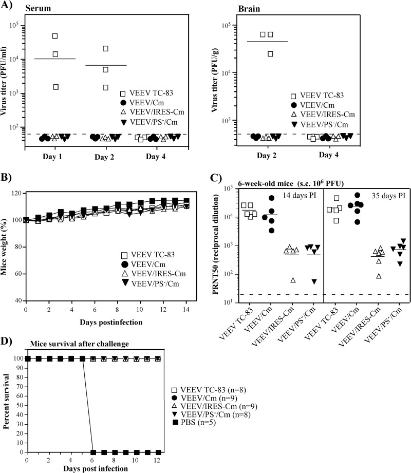 FIG 6