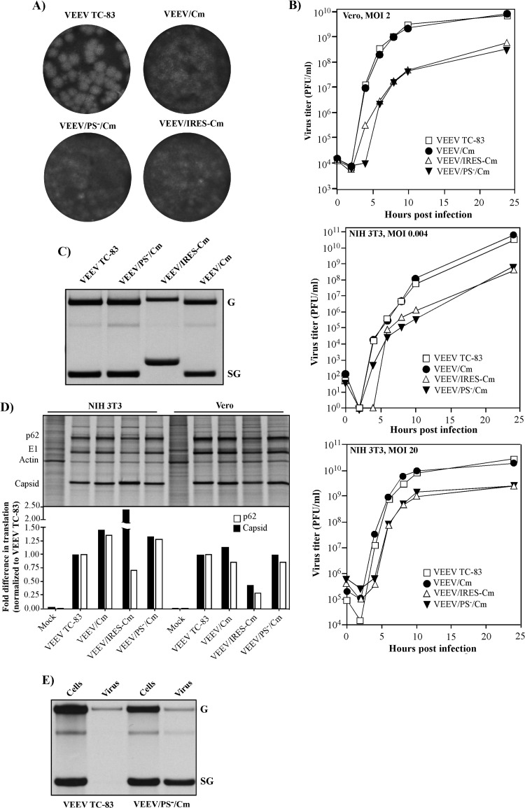 FIG 2