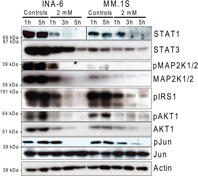 Figure 3C