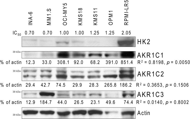 Figure 7A