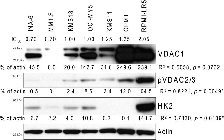 Figure 6B