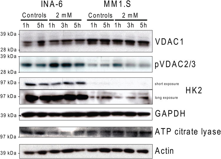 Figure 6C