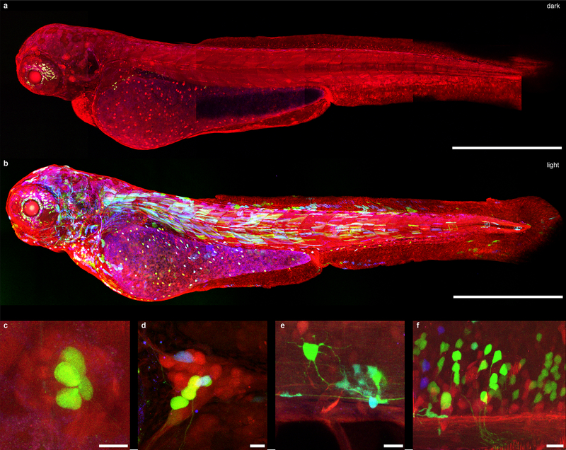 Figure 3.