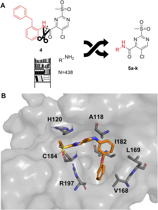 FIGURE 2