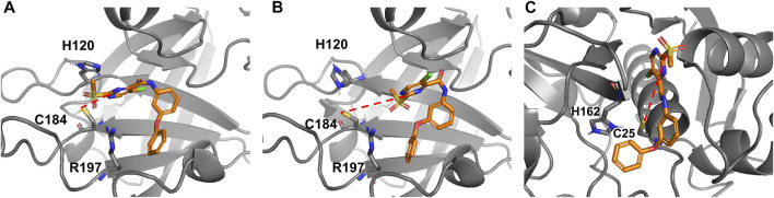 FIGURE 10