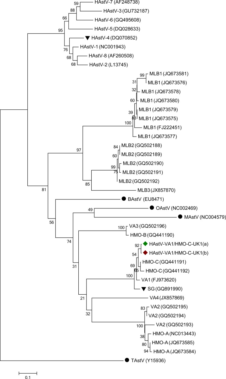 Figure 1.