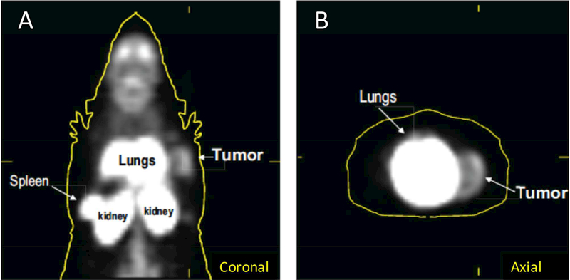 Figure 5: