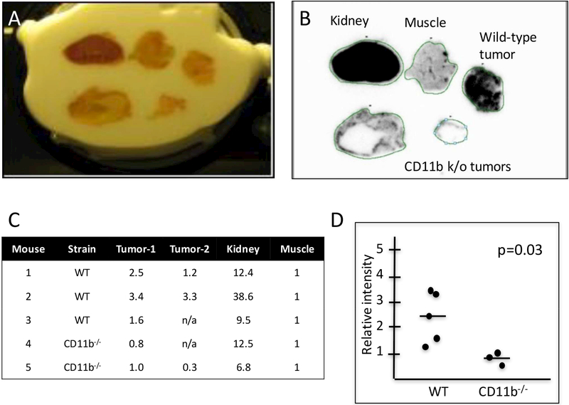 Figure 3: