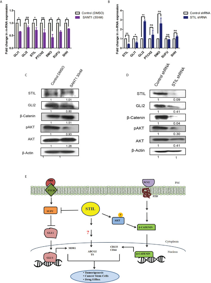 Figure 6