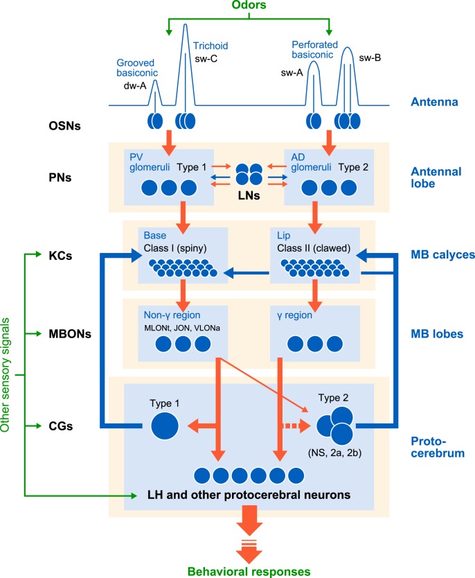 Figure 7.