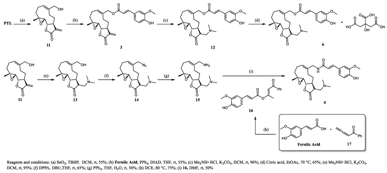 Scheme 2