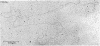 200A