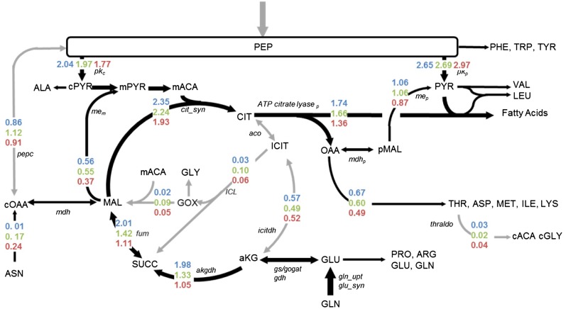 Figure 5.