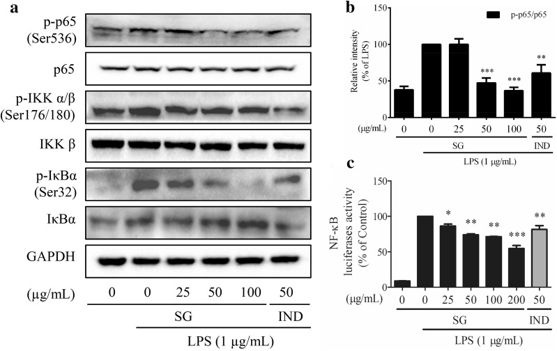 Fig. 6