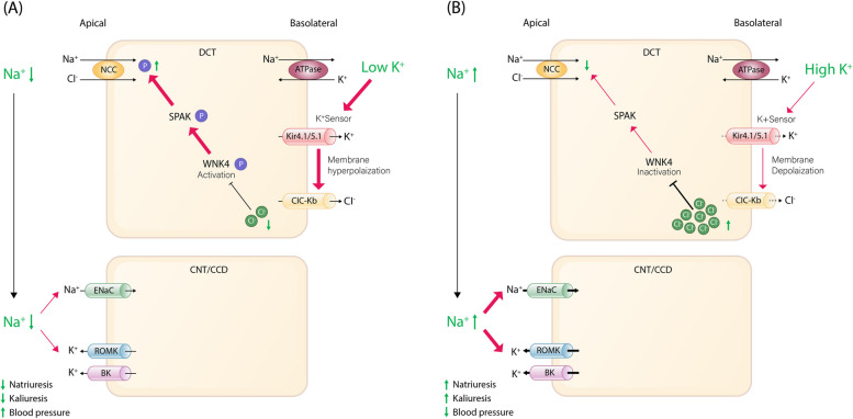 Fig. 2