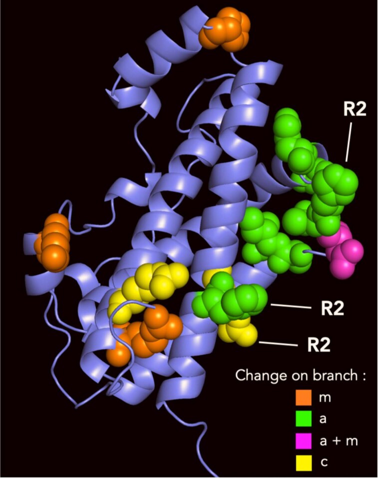 Figure 6.