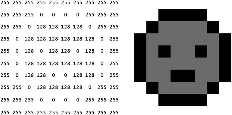 Figure 13