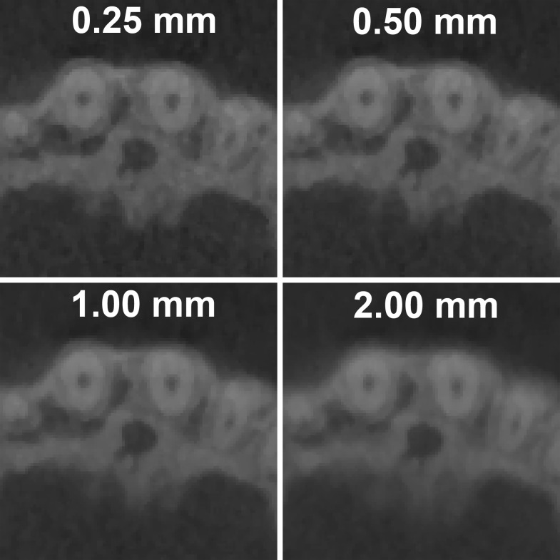 Figure 31