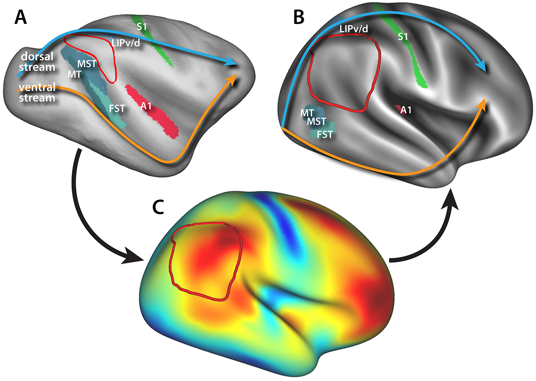 Figure 2: