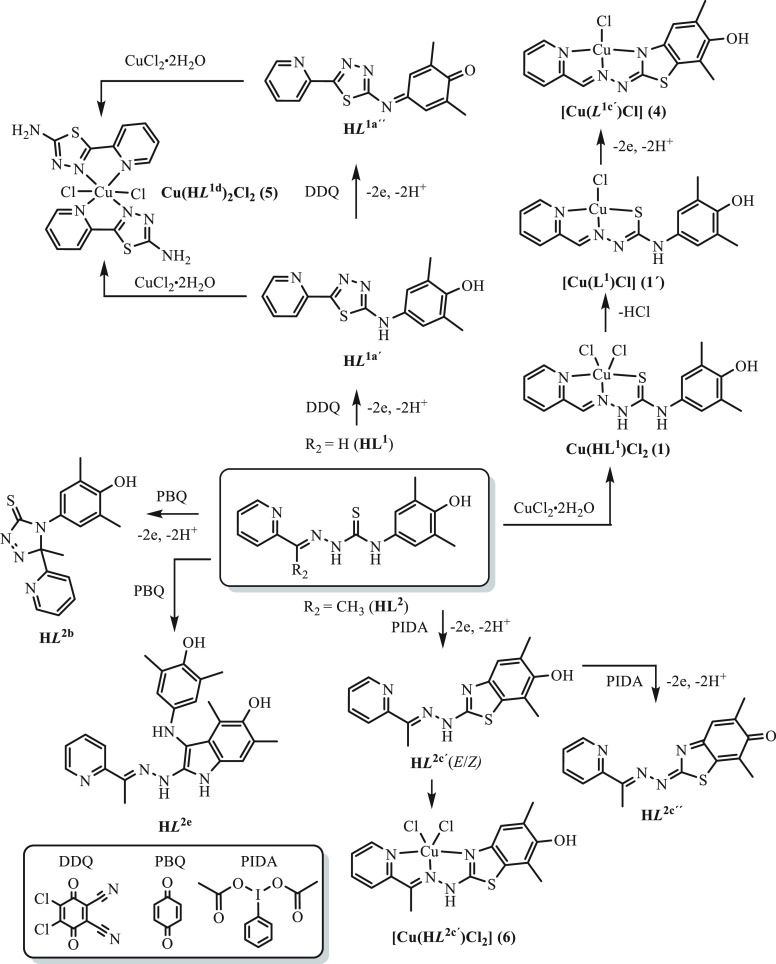 Scheme 1