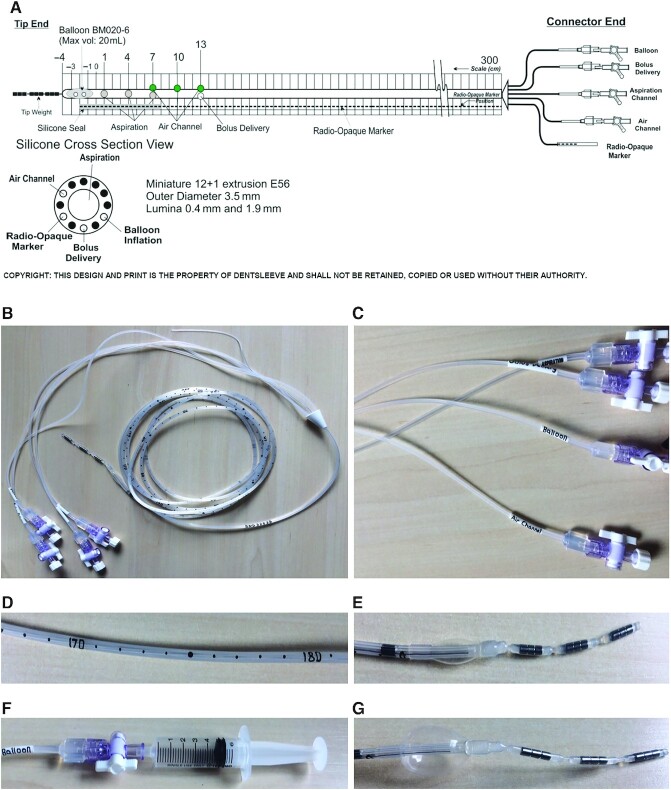 FIGURE 3