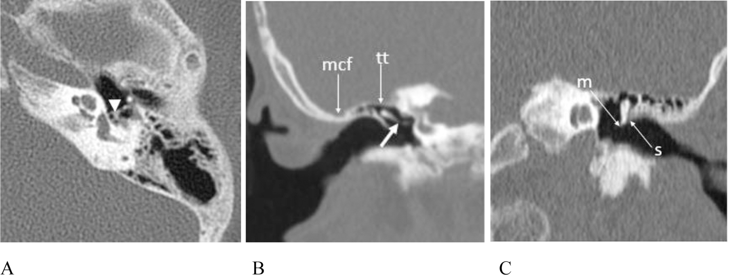 Figure 5.