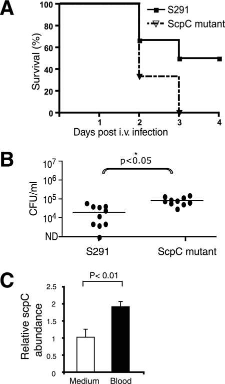 FIG. 4.