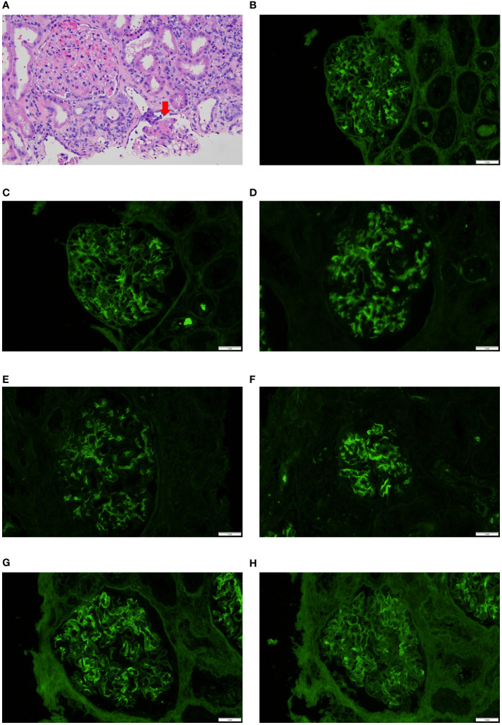 Figure 2