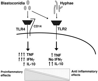 FIG. 7.