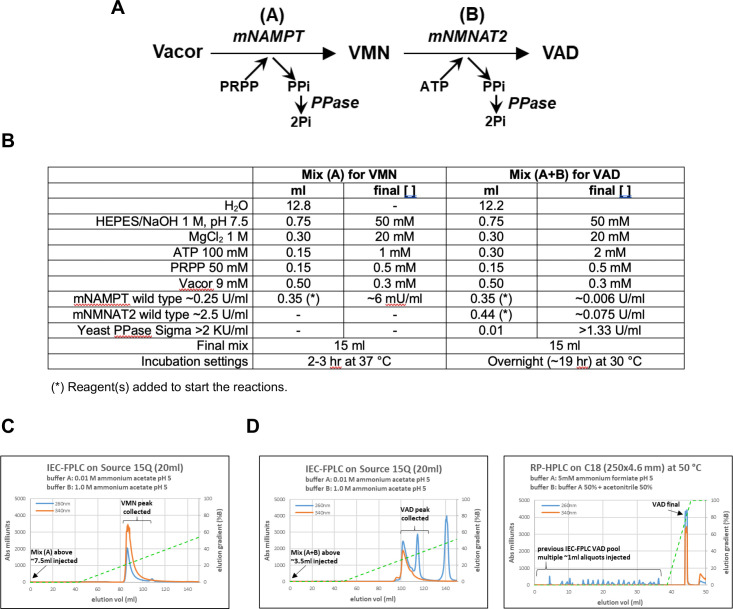 Figure 5—figure supplement 2.