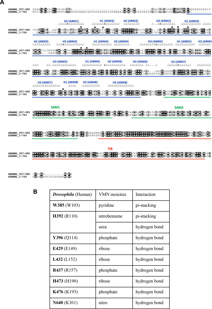 Figure 6—figure supplement 2.