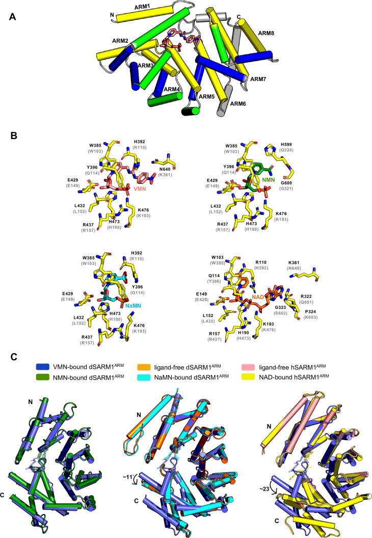 Figure 6.