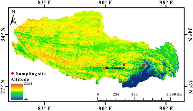 FIGURE 1