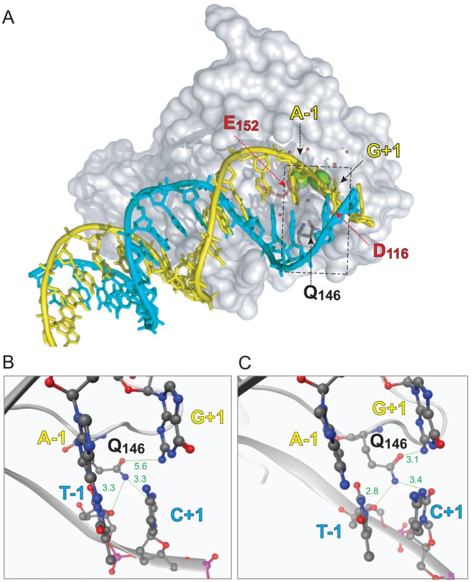 Figure 4.