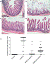 Fig. 8.