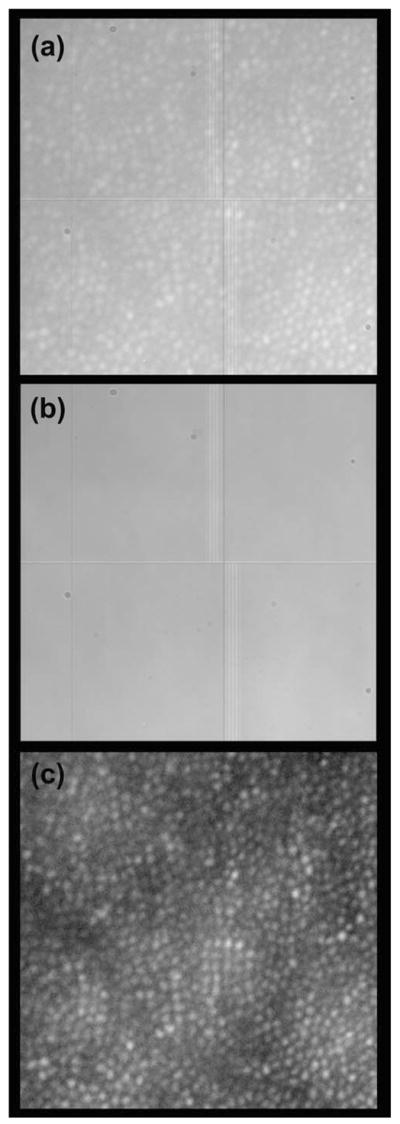 Fig. 2