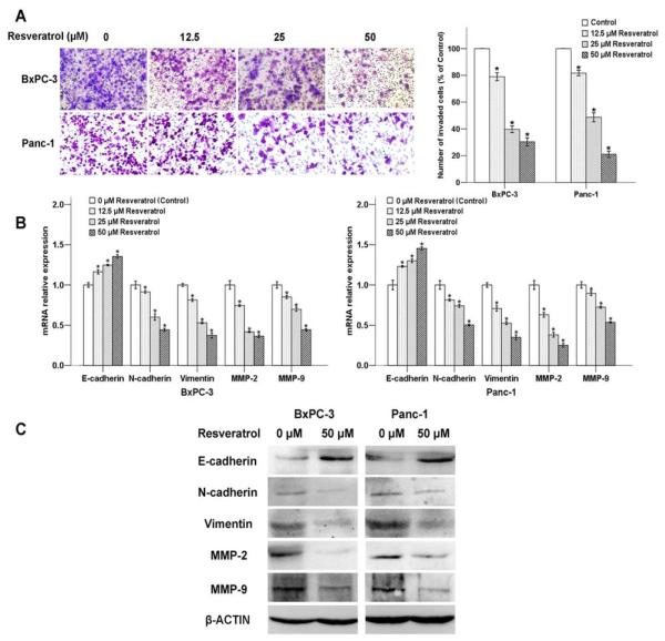 Fig. (3)