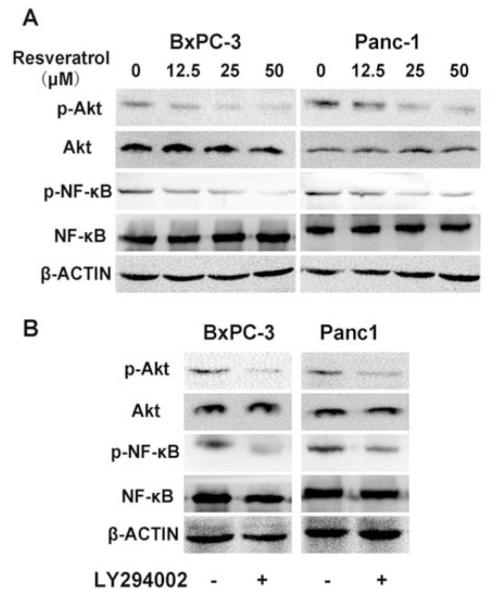 Fig. (4)