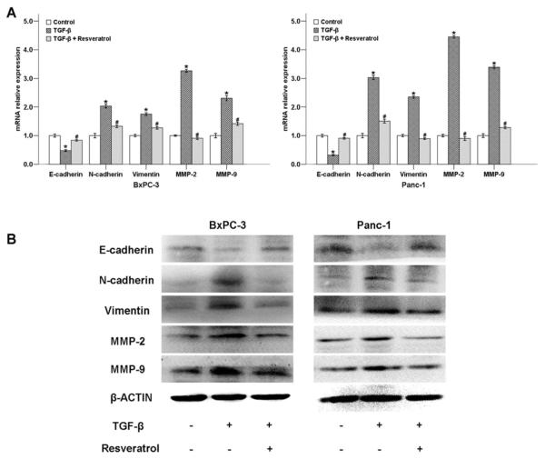 Fig. (7)