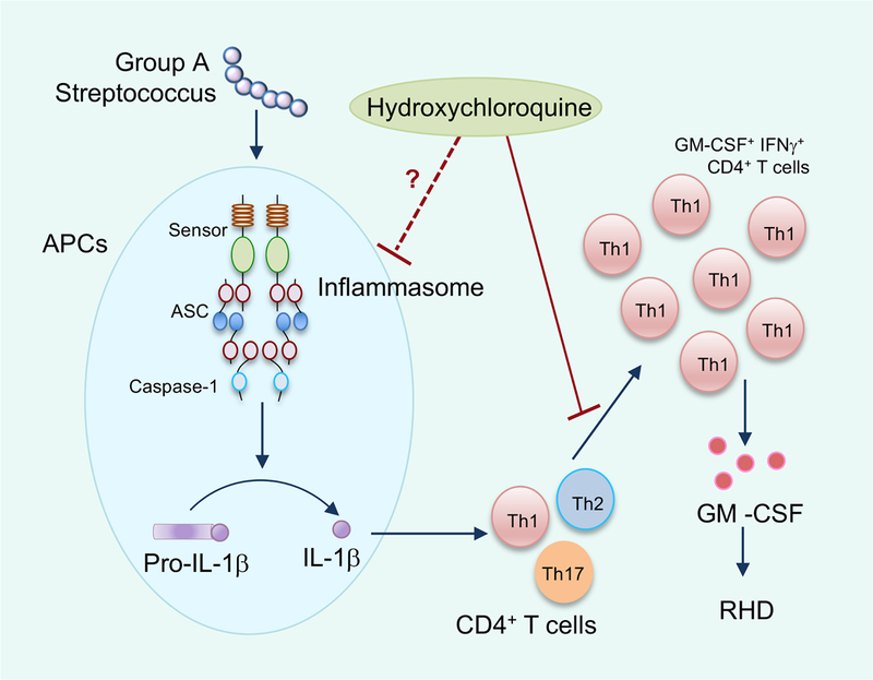 Figure 1: