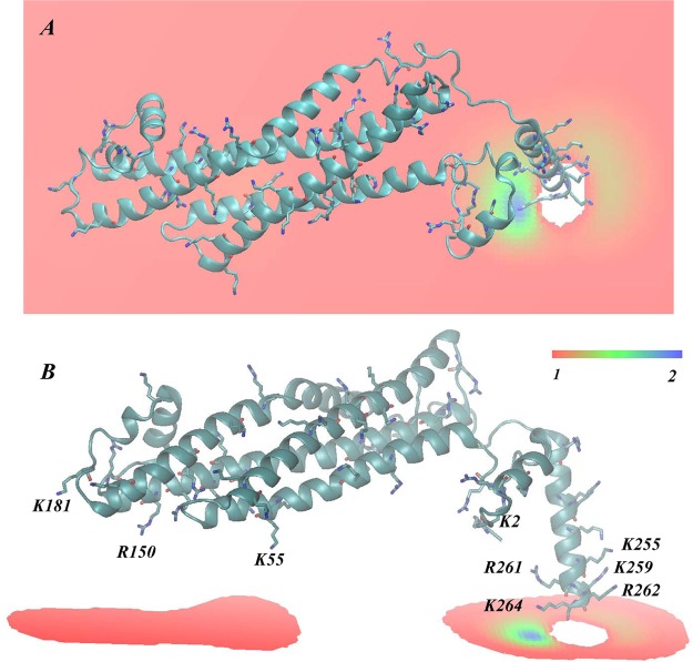 Figure 6