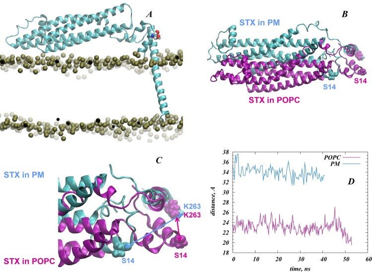 Figure 10