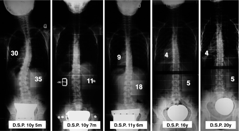 Fig. 2