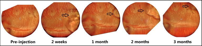 Figure 3. 