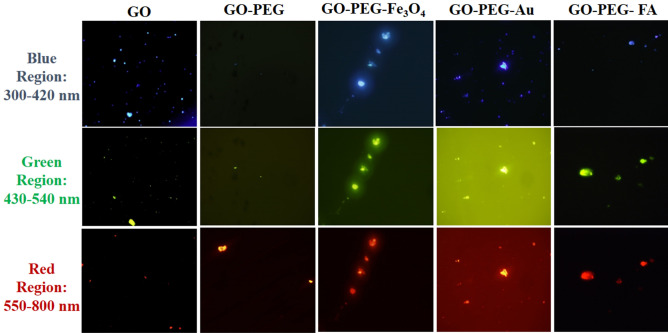 Figure 13