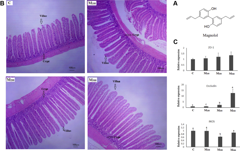 Figure 2